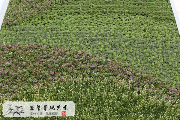 植物墙平面构成原则